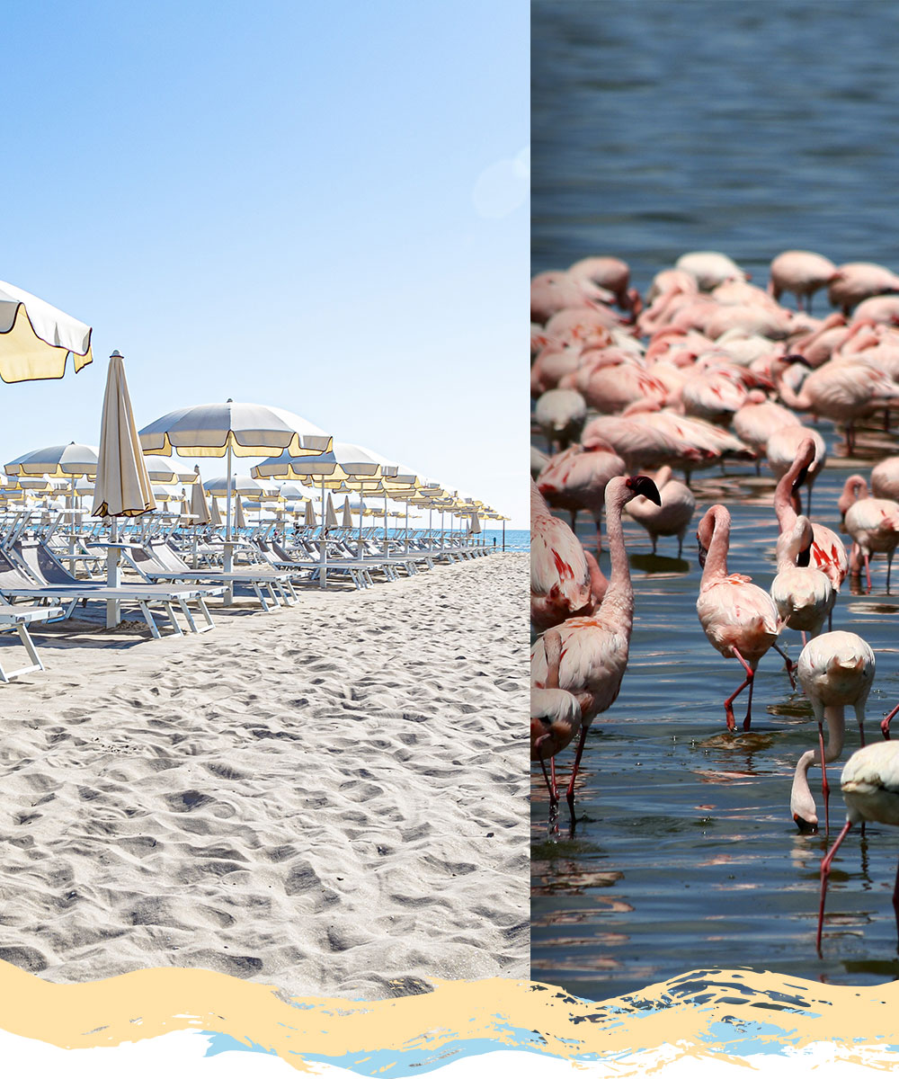 Explorer Beach Hotel Cervia